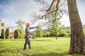 Best Landscape Design and Installation  in Cathcart, WA